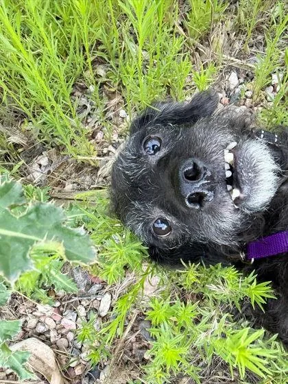 Winifred thumbnail 2