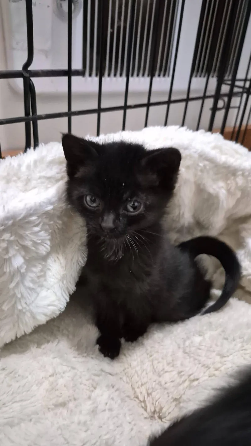 Marty & Crystal thumbnail 2