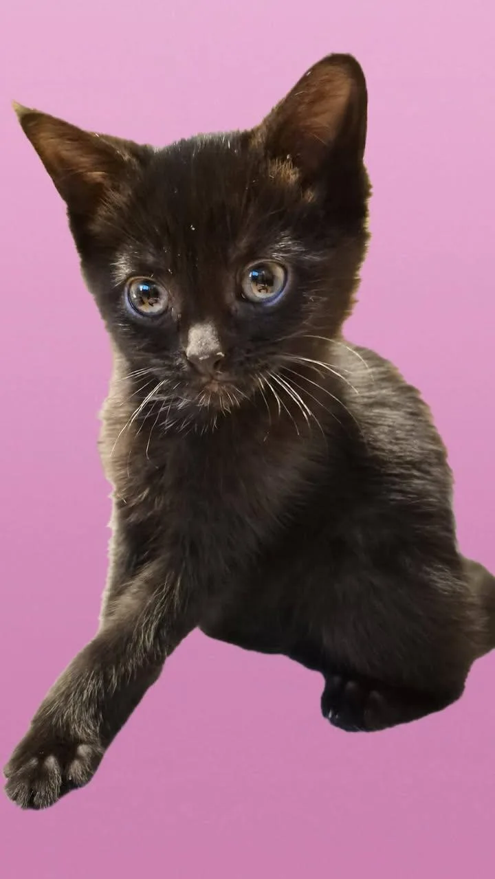 Marty & Crystal thumbnail 3