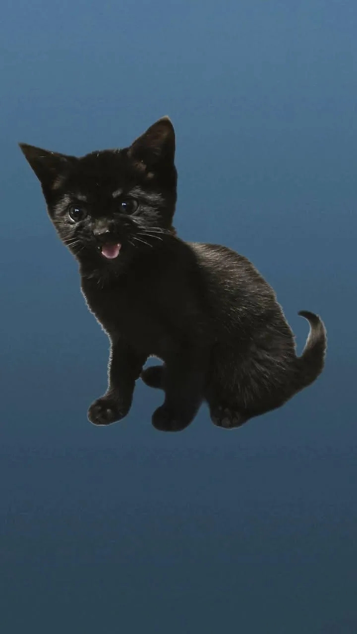 Marty & Crystal thumbnail 4