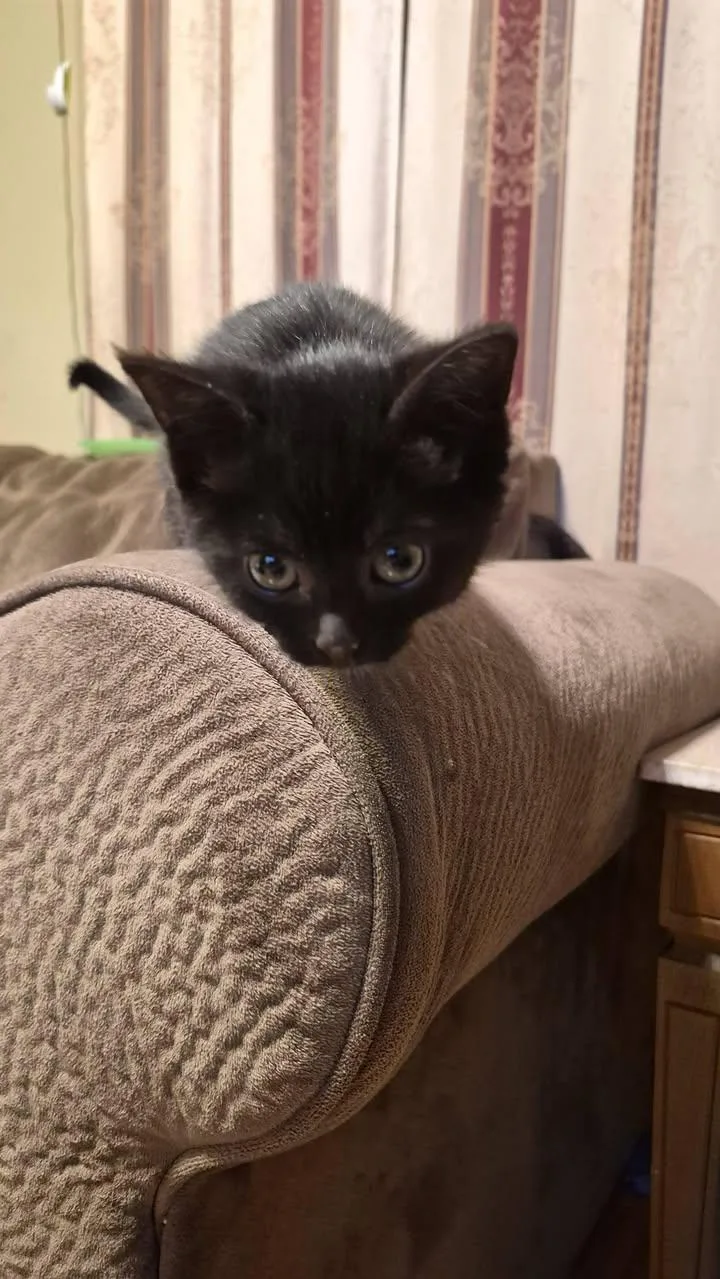 Marty & Crystal thumbnail 5