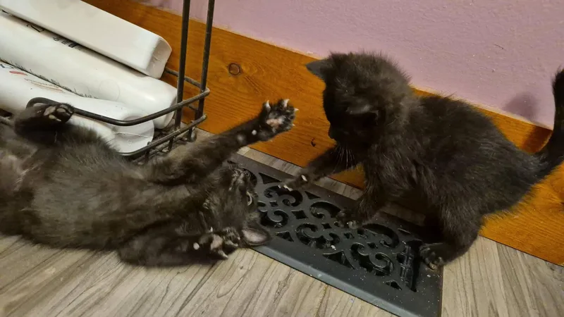 Marty & Crystal thumbnail 6