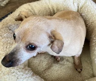 Rudy Gramps thumbnail 2