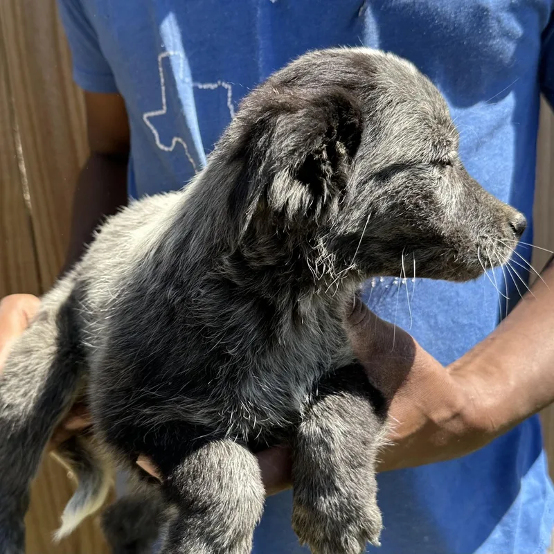 Bo  Local April thumbnail 2