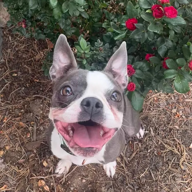 Ellie in CO thumbnail 3