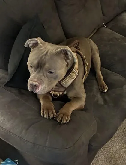 Kiko