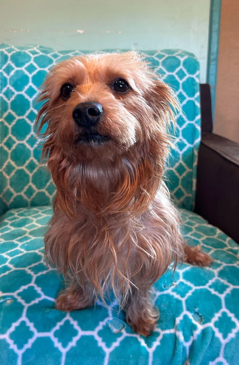 Sophie Mar thumbnail 2