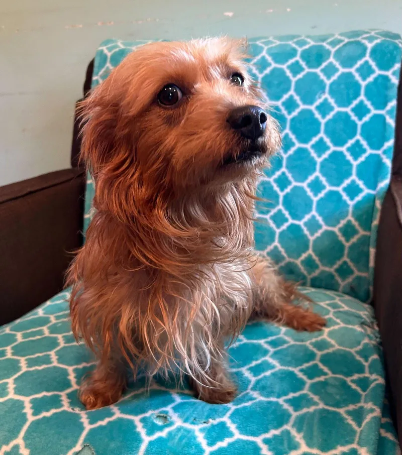 Sophie Mar thumbnail 3