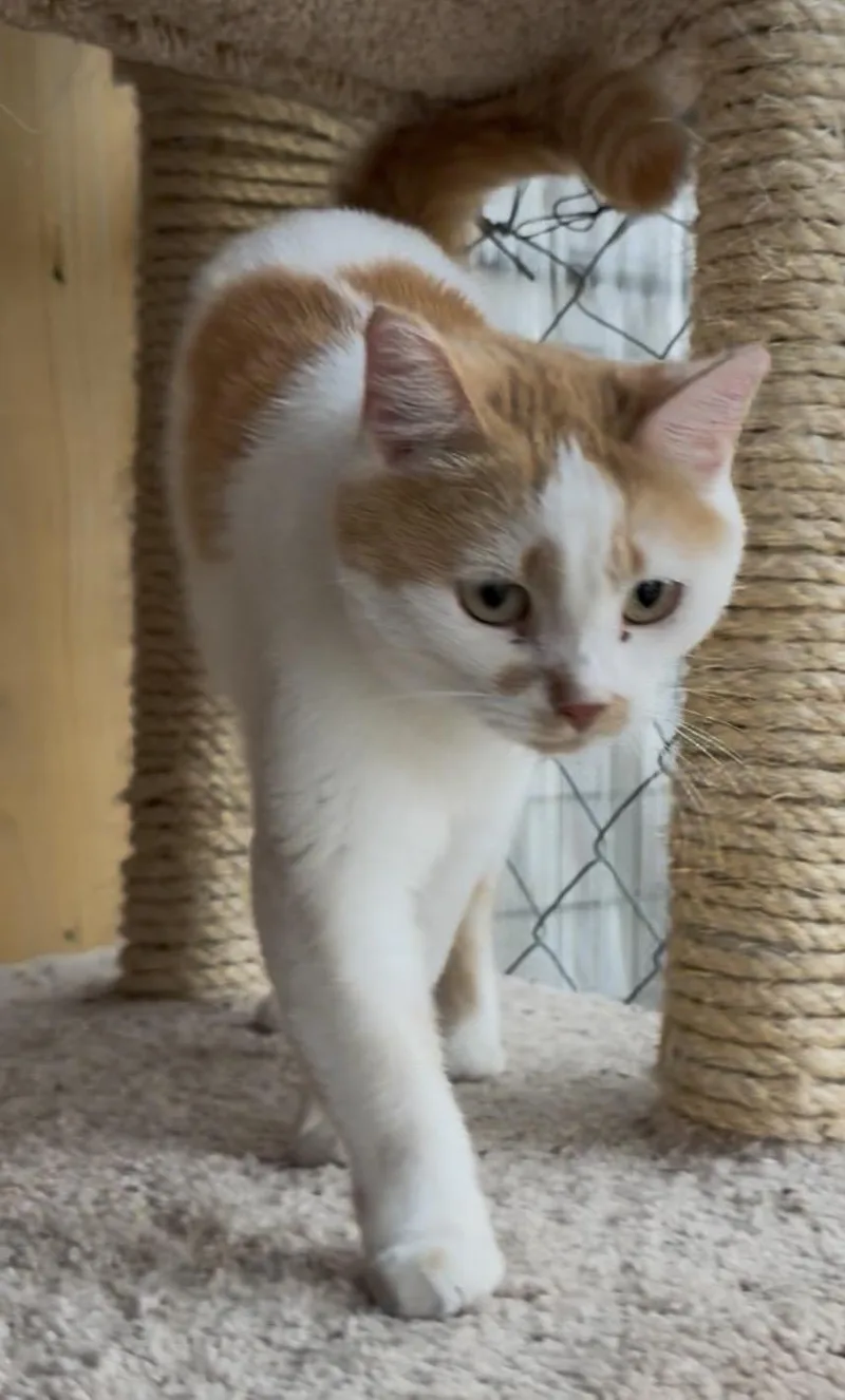 Minnie thumbnail 2