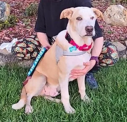 Ezzy  Snow thumbnail 2