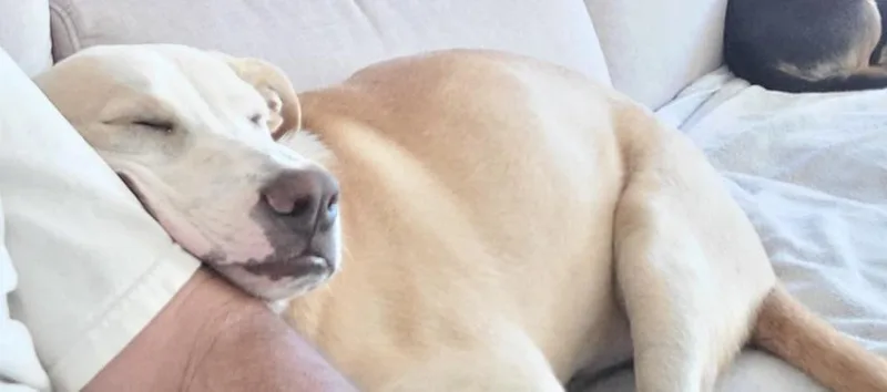 Ezzy  Snow thumbnail 3