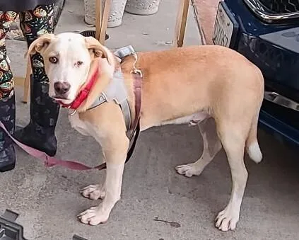 Ezzy  Snow thumbnail 6