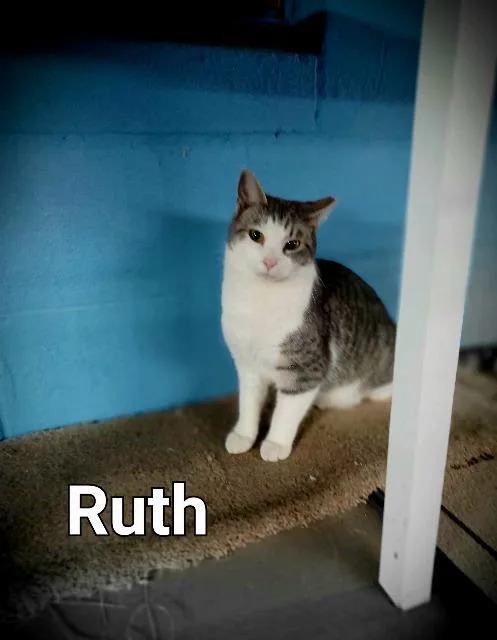 Ruth thumbnail 2