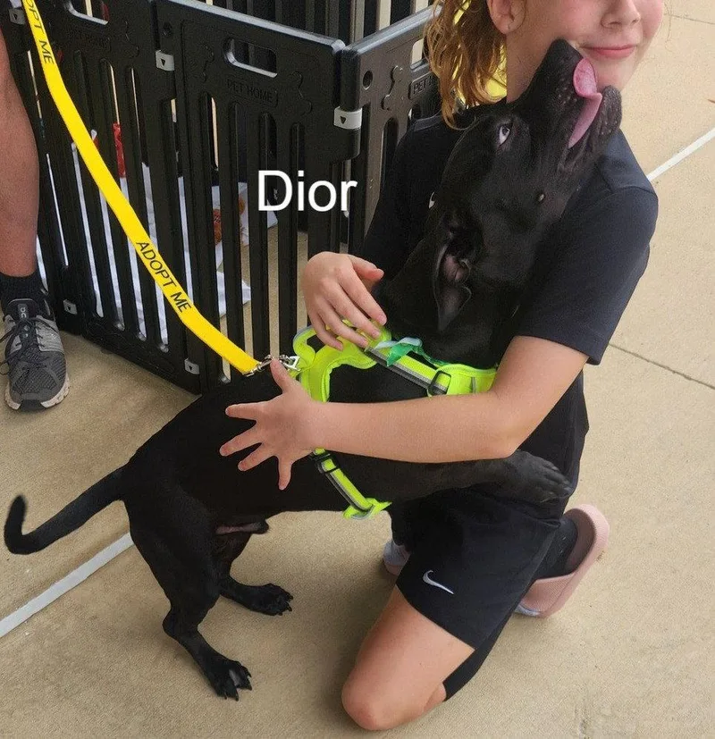 Dior