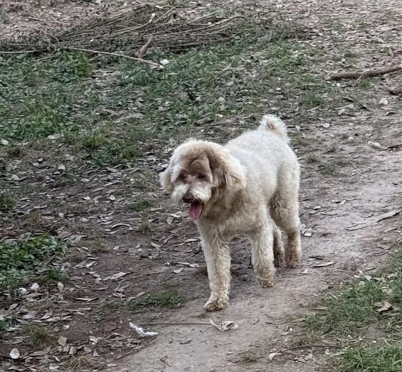 Snickers Sweet Boy! thumbnail 2