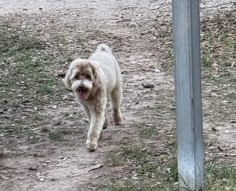 Snickers Sweet Boy! thumbnail 3