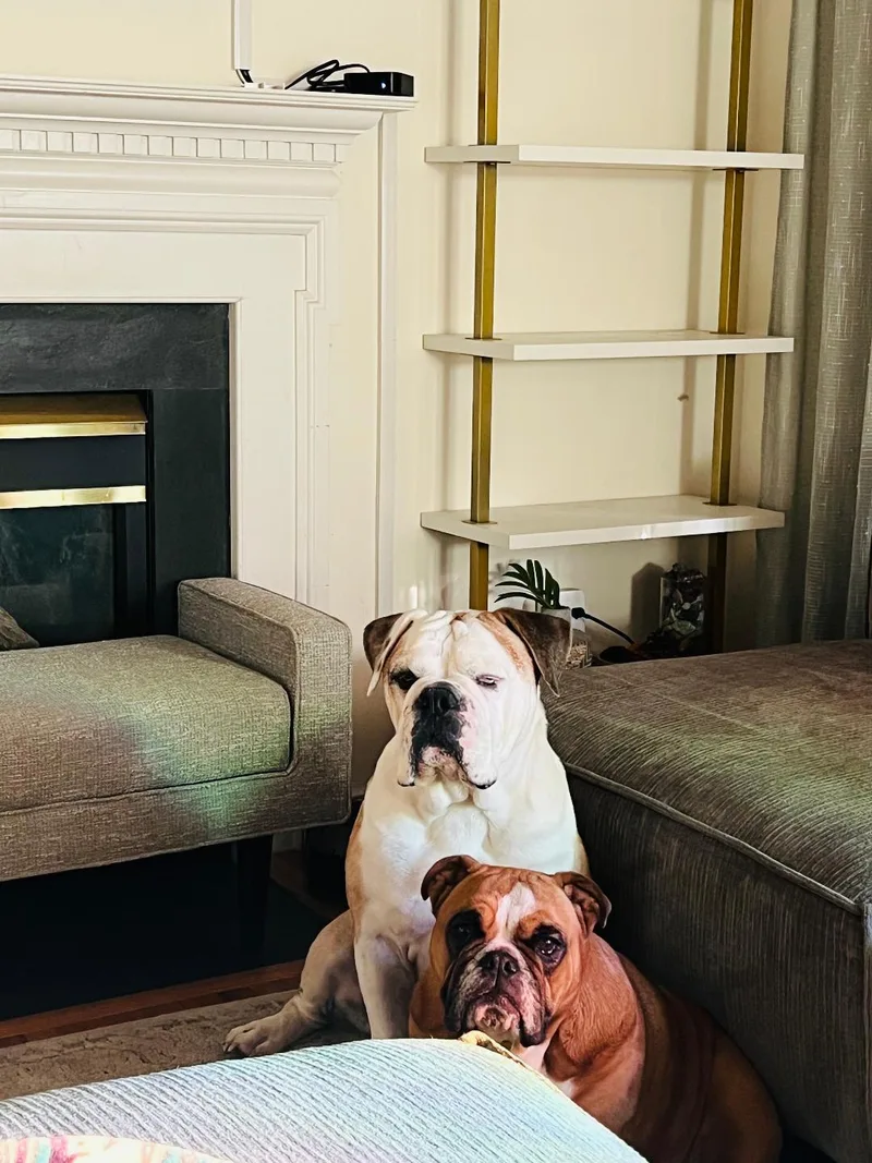 Cookie & Bruno thumbnail 6