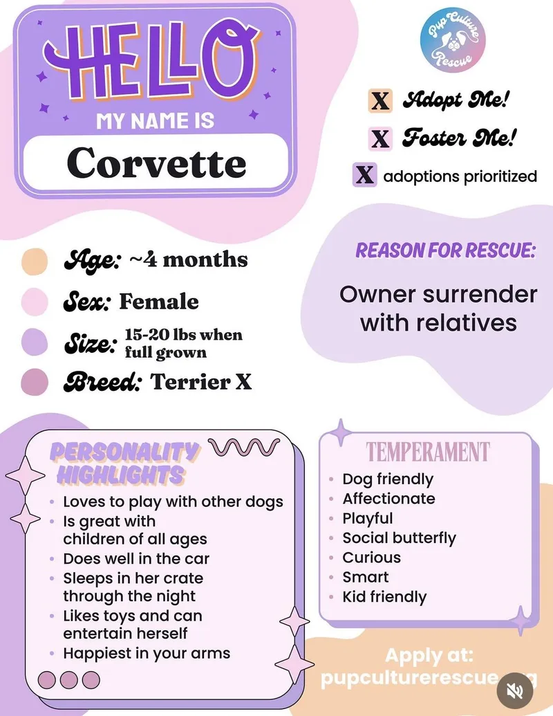 Corvette thumbnail 2
