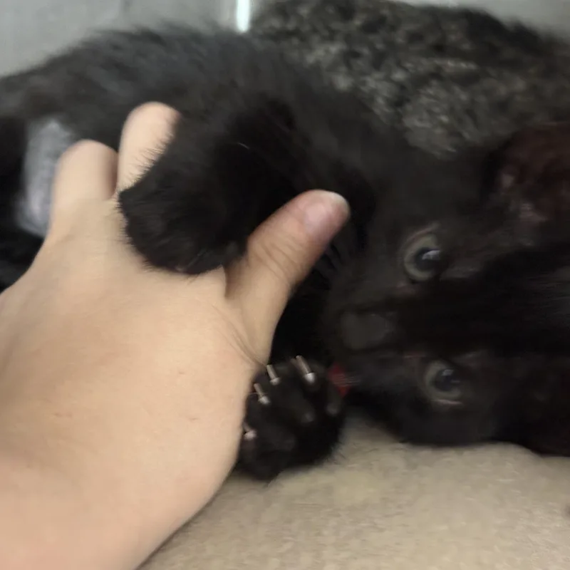 Peggy thumbnail 2
