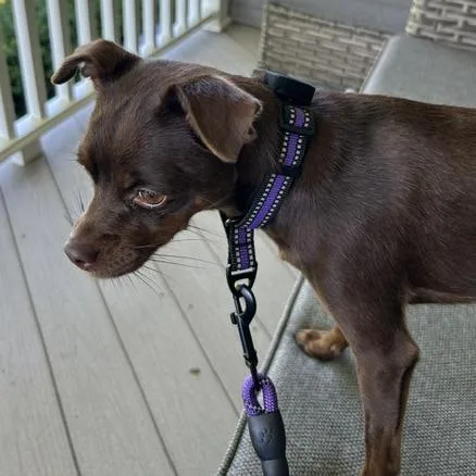 Zoey