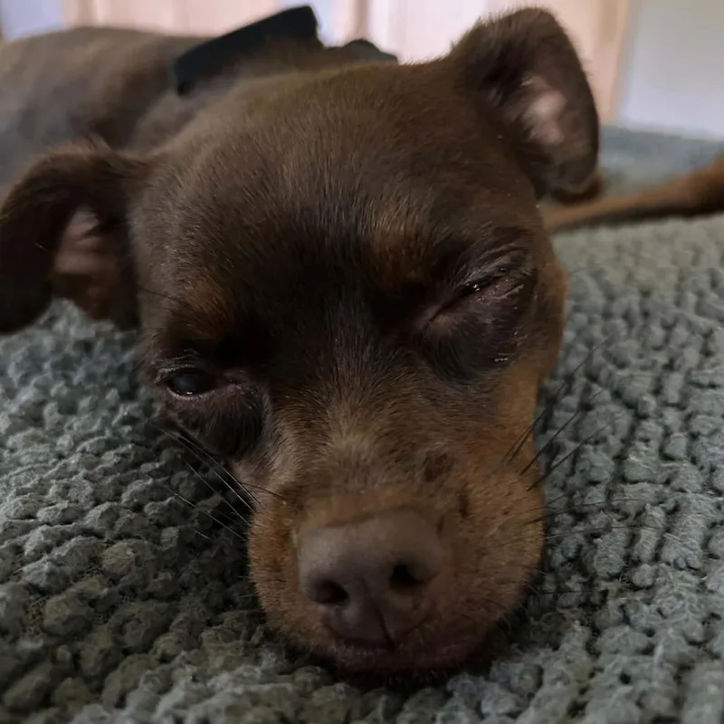 Zoey thumbnail 2