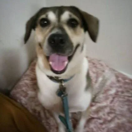 Lizzy Belle thumbnail 2