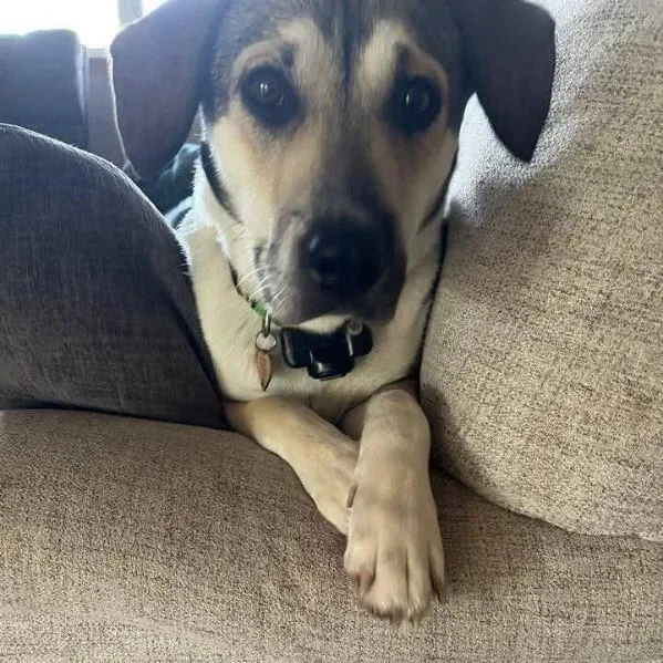 Lizzy Belle thumbnail 3