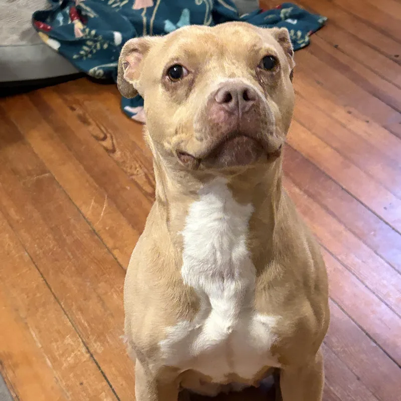 Lil’ Debbie thumbnail 4