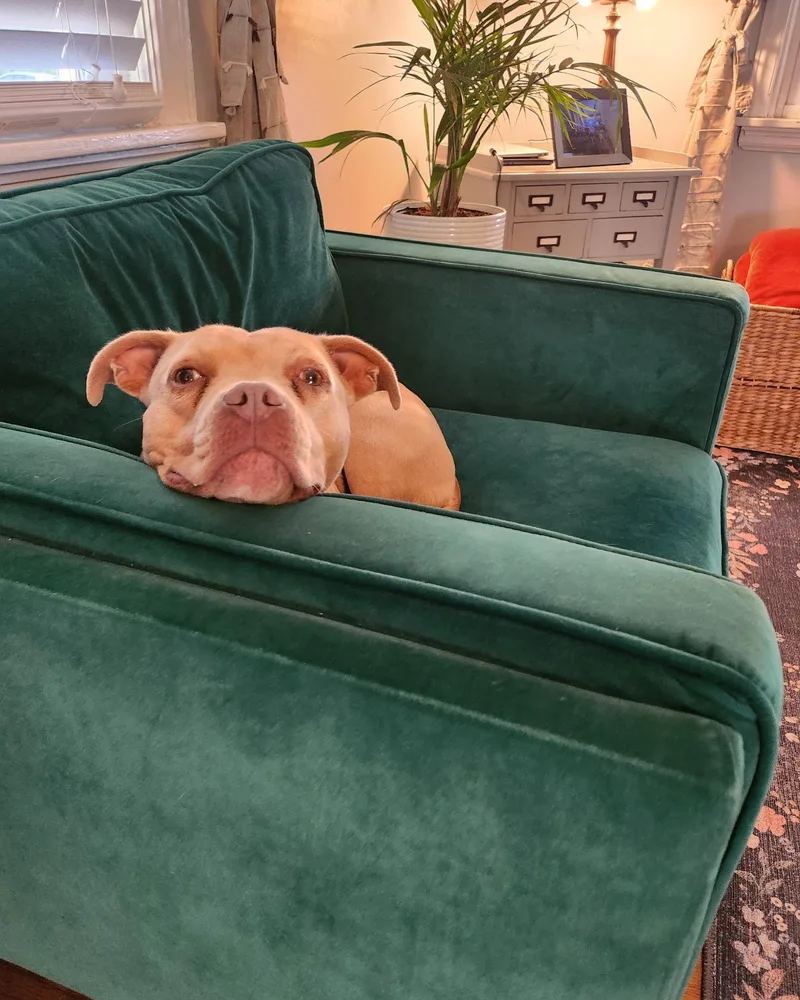 Lil’ Debbie thumbnail 5