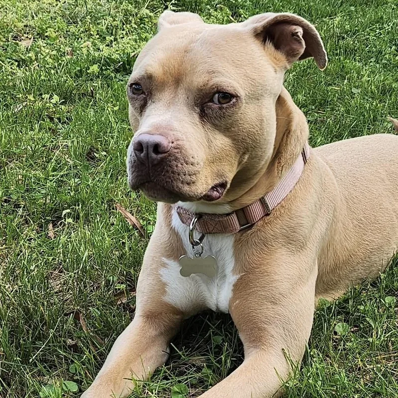 Lil’ Debbie thumbnail 6