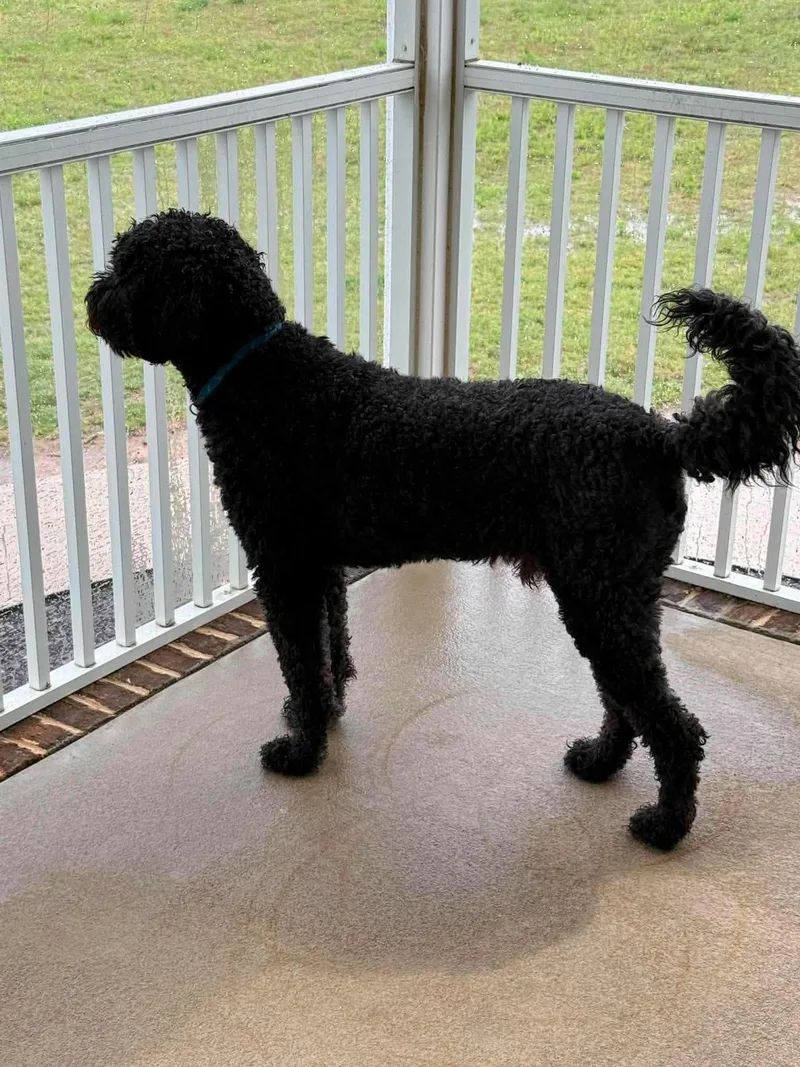 Max