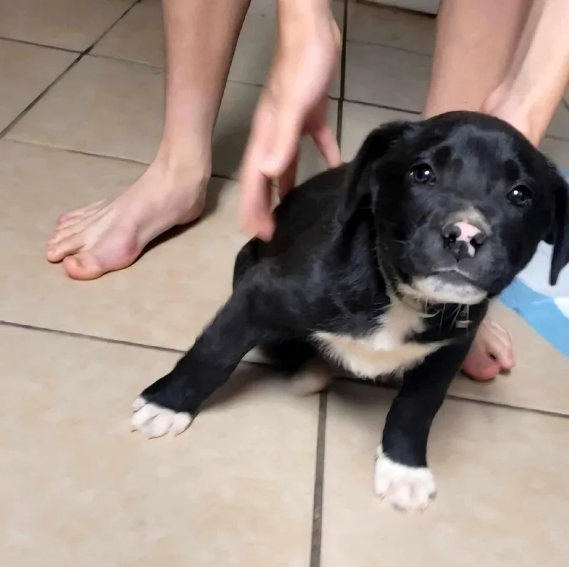 Krewe Beautiful Boy! thumbnail 2