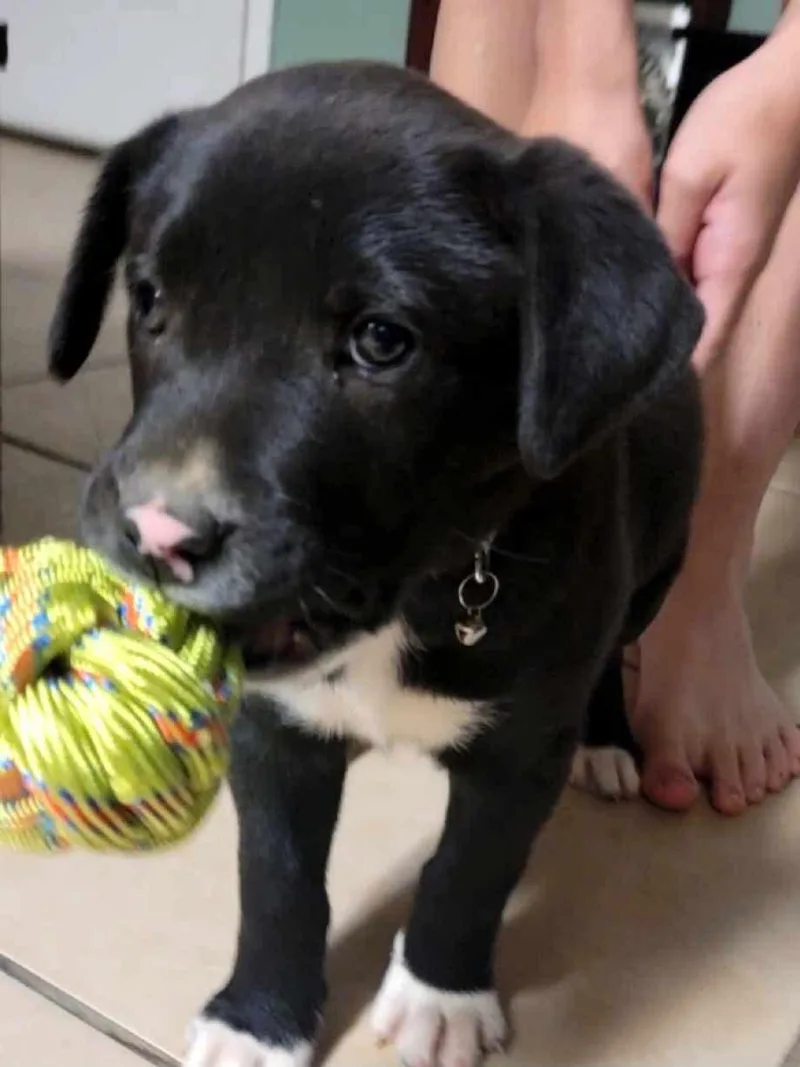 Krewe Beautiful Boy! thumbnail 3