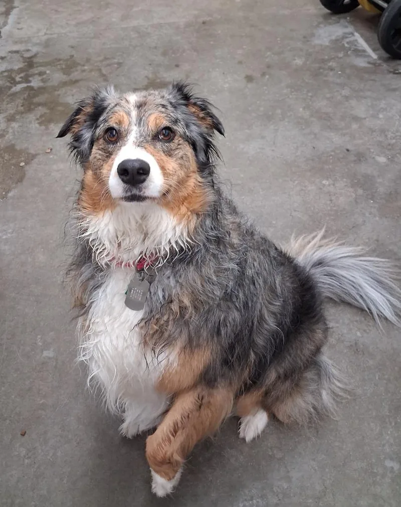 Skye