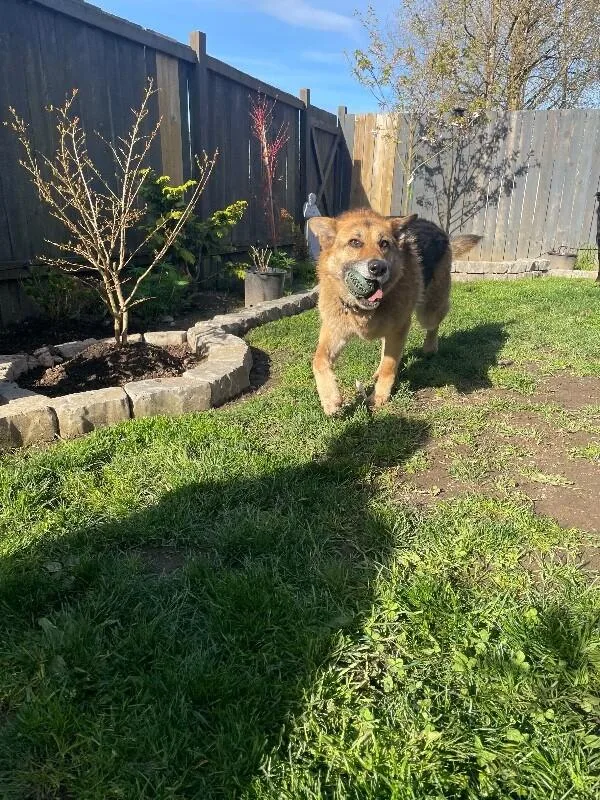 Brigette thumbnail 2