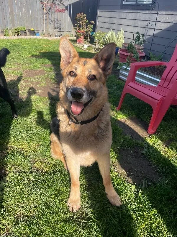 Brigette thumbnail 3