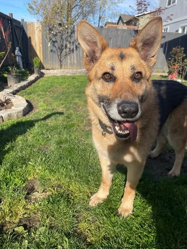 Brigette thumbnail 5