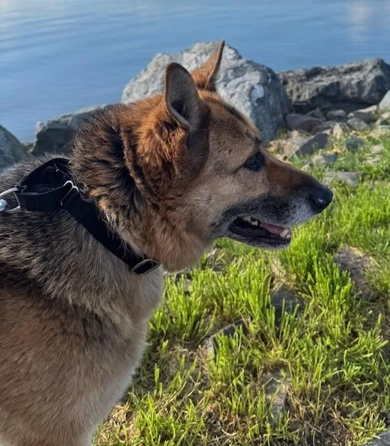 Brigette thumbnail 6