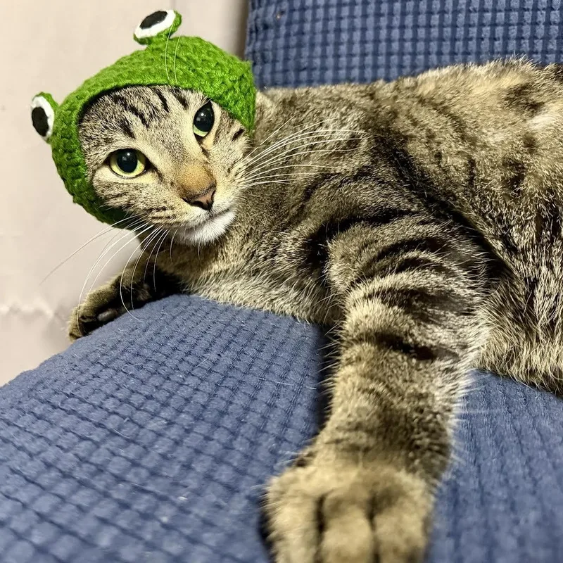 Pepper thumbnail 4