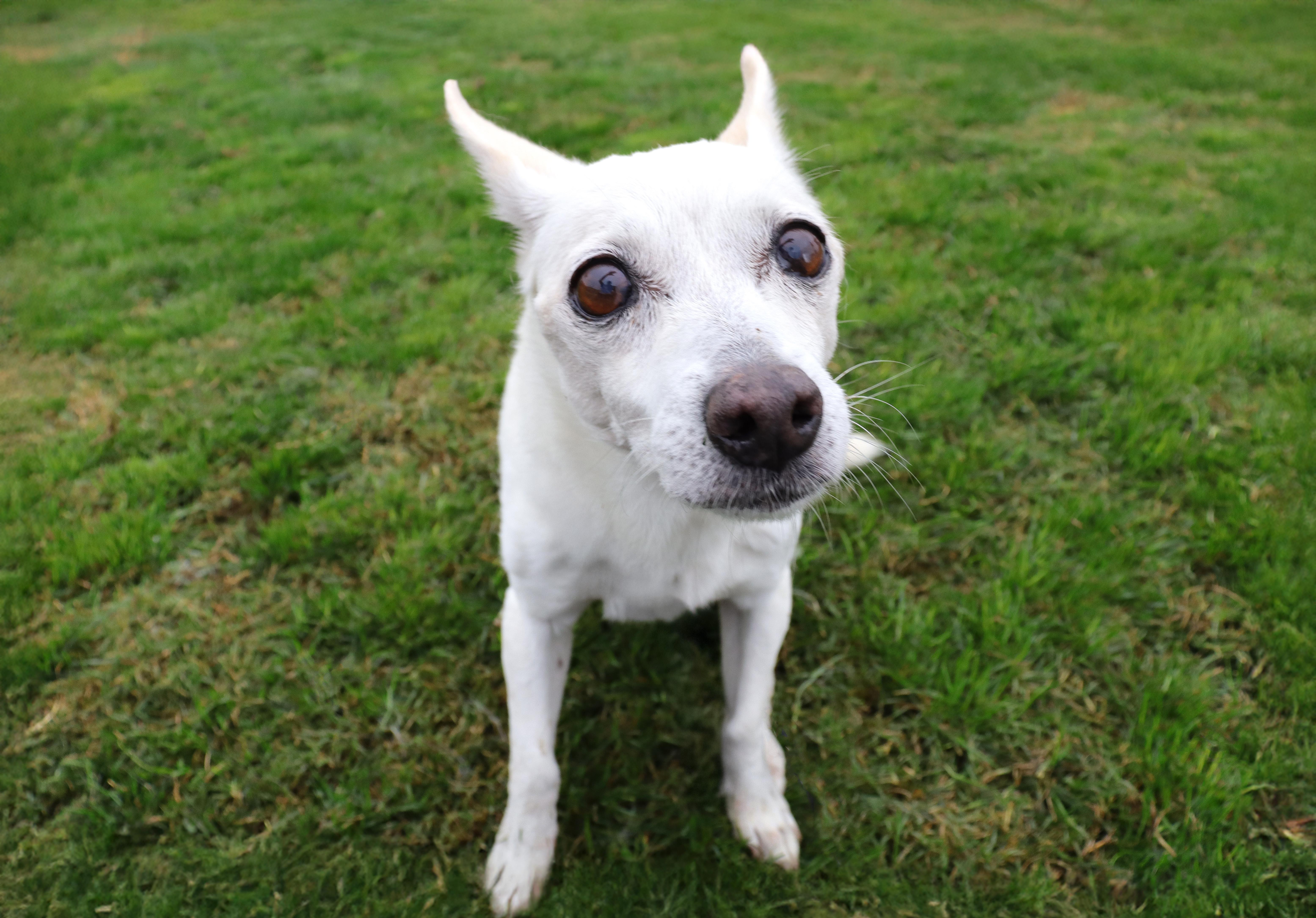 Agnes thumbnail 4