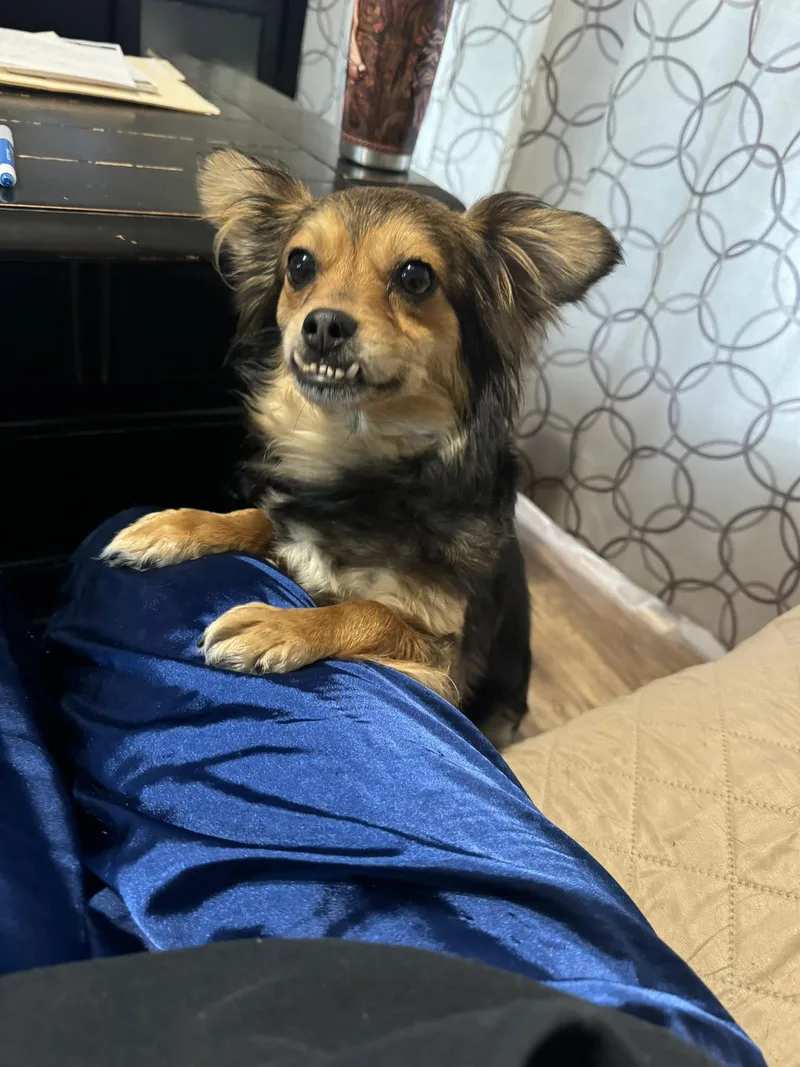 Clementine thumbnail 6