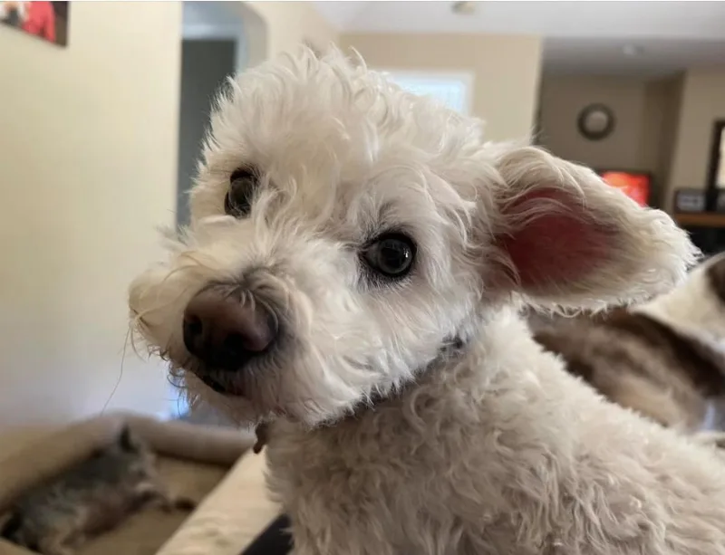 Maggie Mae