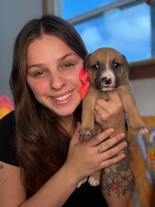 A baby medium-sized female Yellow / Tan / Blond / Fawn Pit Bull Terrier dog named Sunshine Skyway Bridge for adoption in Friendswood, TX