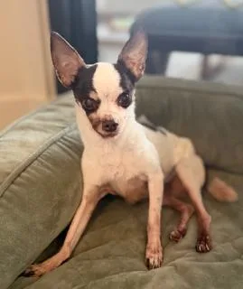 Pixel