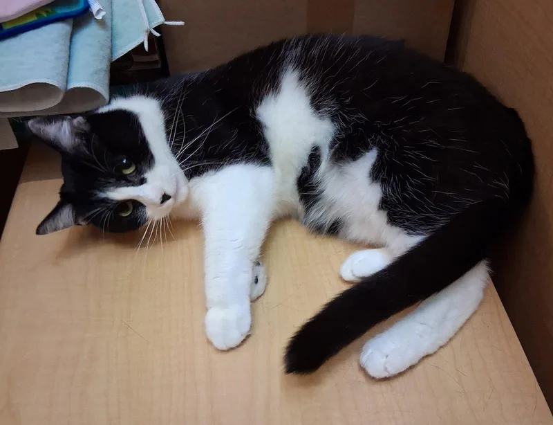 Slush @ Medina Petsmart thumbnail 2