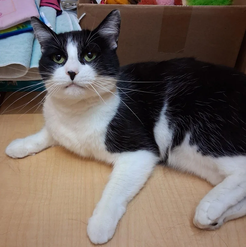 Slush @ Medina Petsmart thumbnail 3