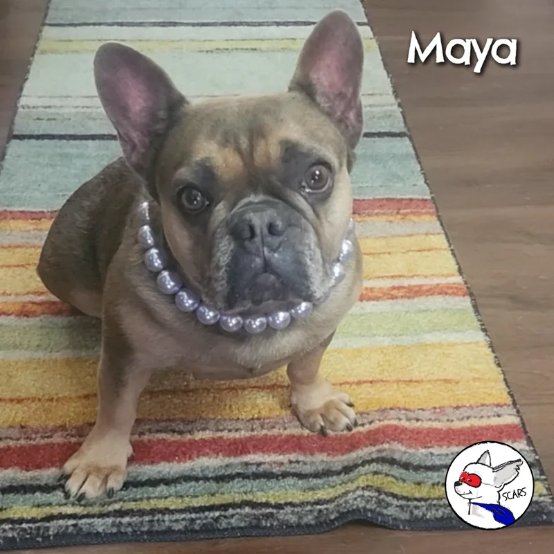 Maya thumbnail 6