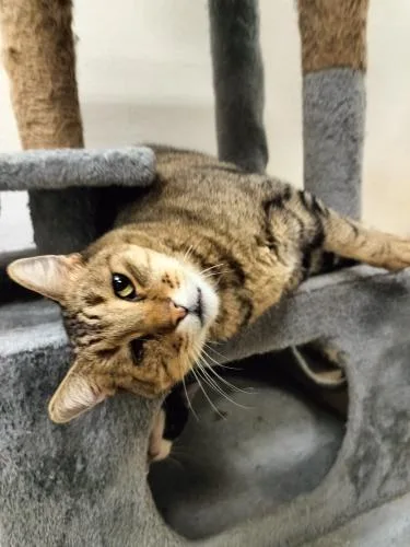 Skittles thumbnail 5