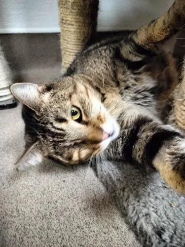 Skittles thumbnail 6