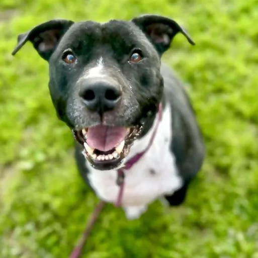 Miathe Sweetest  Happiest thumbnail 4